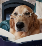 No sign-up is required.