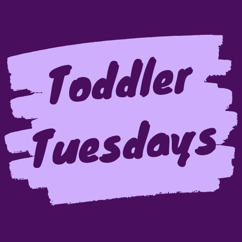 May 2024 Events Sandown Public Library