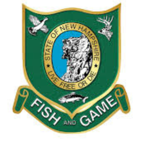 07/13/2024 Black Bears in New Hampshire Sandown Public Library