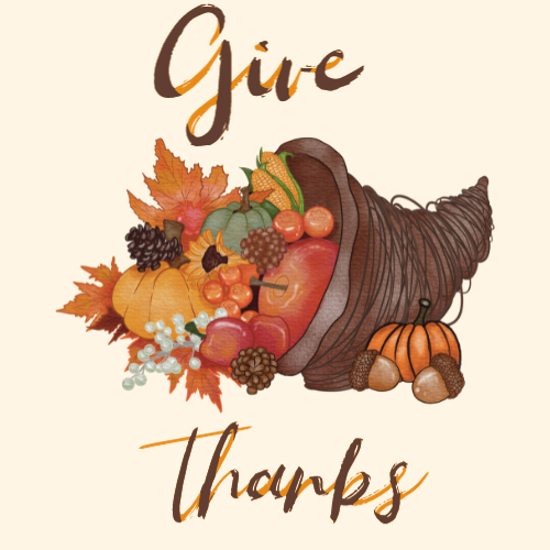 11/22/2023 Library closing at 2pm Sandown Public Library