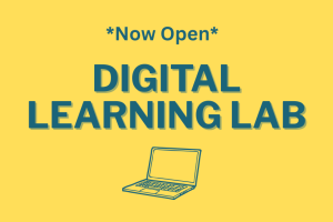 Digital Learning Lab Orientations image