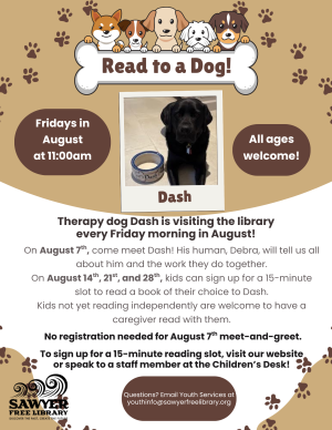 Read to Dash image