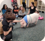 Gilbert the Pig