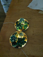 Succulent Nightlights 