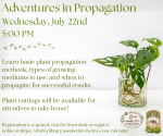 Propagation