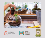 Terrific Terrariums