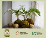 Kokedama Workshop