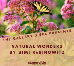 Gallery @ SPL Presents: Natural Wonders with Simi Rabinowitz