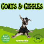 A baby goat lies on green grass with the words 'Goats & Giggles' above. The image also includes logo