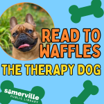 Transcript: Read to Waffles the Therapy Dog.