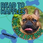 Transcript: Read to Waffles, the therapy dog.