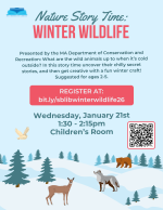 Winter Wildlife flyer.