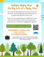 Nature Story Time: The Big Life of a Busy Tree flyer.