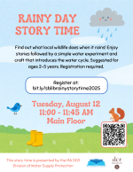 Rainy Day Story Time flyer