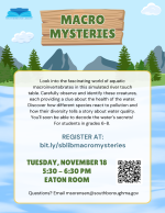 Macro Mysteries flyer