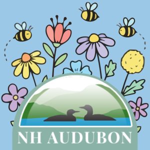NH Audubon Pollinator Party for Kids!