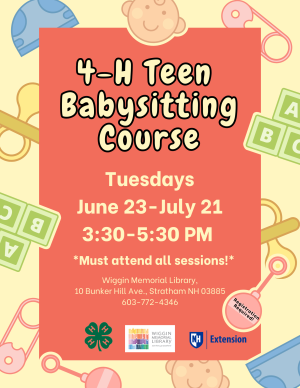 Teen Babysitting Course