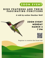 Bird Feathers flyer
