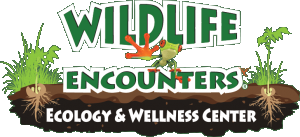 Animal Visitors: Wildlife Encounters!