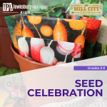 colorful vegetable seed packets in a small terracotta pot