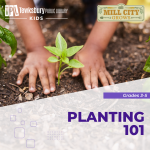 a child plants a small pepper plant in the garden.