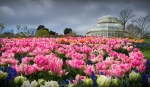 VIRTUAL: Gardens Of Ireland