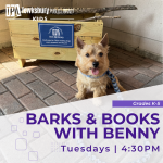 Benny the small brown dog sits in front of the TPL stick library