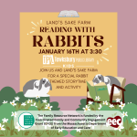 Gray and white cartoon rabbits read books. 