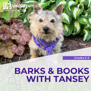 Barks & Books with Tansey image