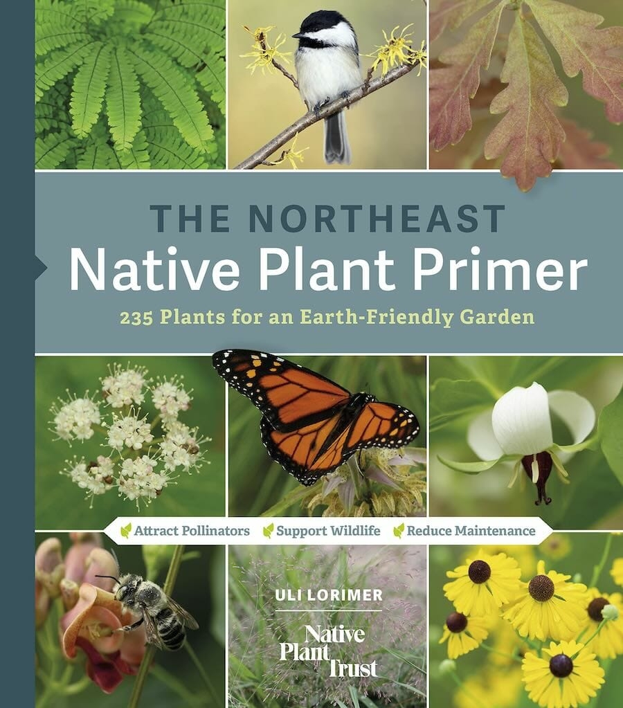 07/06/2022 | VIRTUAL: Northeast Native Plant Primer -- 235 Plants for ...