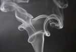 VIRTUAL PROGRAM: Health Over Tobacco Industry Profits