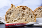 IN PERSON: Sourdough Starter Workshop with Sourdough Brandon