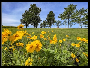 Playful by Nature for Ages 3-5 REGISTRATION REQUIRED image