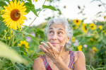 A photo of a woman with grey hair in a braid looking sidelong at a sunflower.