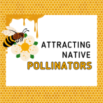 2026-02-17_AttractingPollinators_400x400