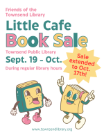 friends book sale october