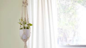 Make a Macrame Plant Hanger image