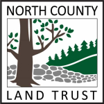 NCLT logo