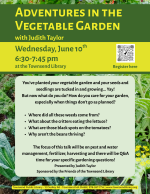 veggie gardening