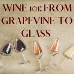 Wine 101: From Grapevine to Glass with Sommelier Gillian Katz  (VIRTUAL) 
