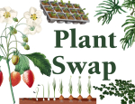 Plant Swap