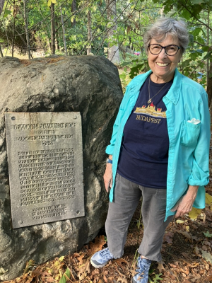 Colonial Sudbury, The Rice Family And Their Role in the American Revolution image