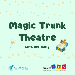 Magic Trunk Theatre image
