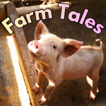 cute pig