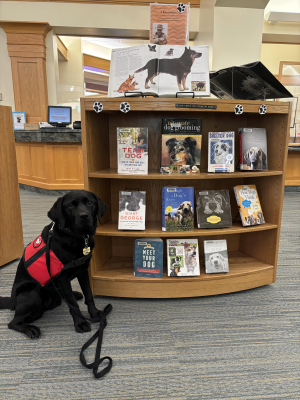 Read to Birdy the Therapy Dog! image