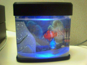 Mini Decorative Aquarium Jars image