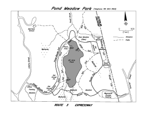 Neighbors on Foot image