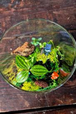 Terrarium with Minecraft figurines.