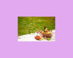 pic
