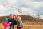 Two small children and an older grey haired man look up to see a snowy owl gliding, wings out, over 